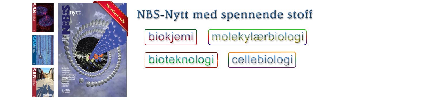 NBS-Nytt NBS