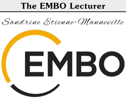 embo-lecture-sandrine-etienne-manneville-sponsor-710x575-2